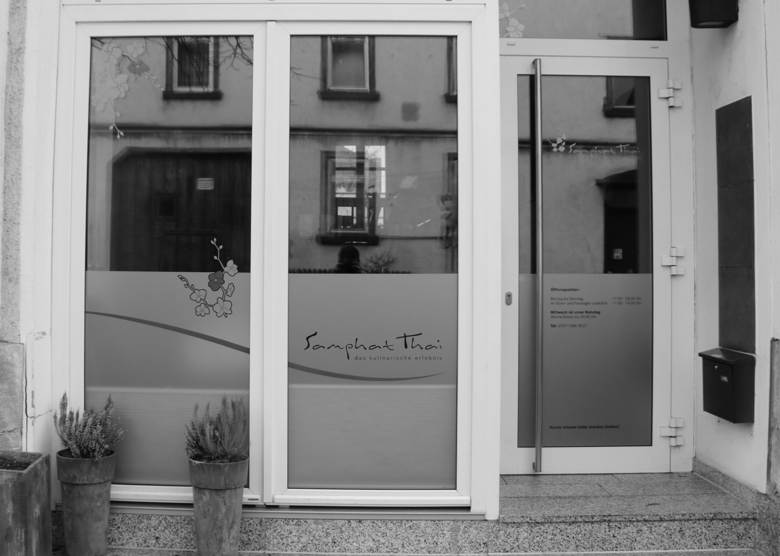 Glasdekorfolie Schaufenster Samphat Thai Tübingen